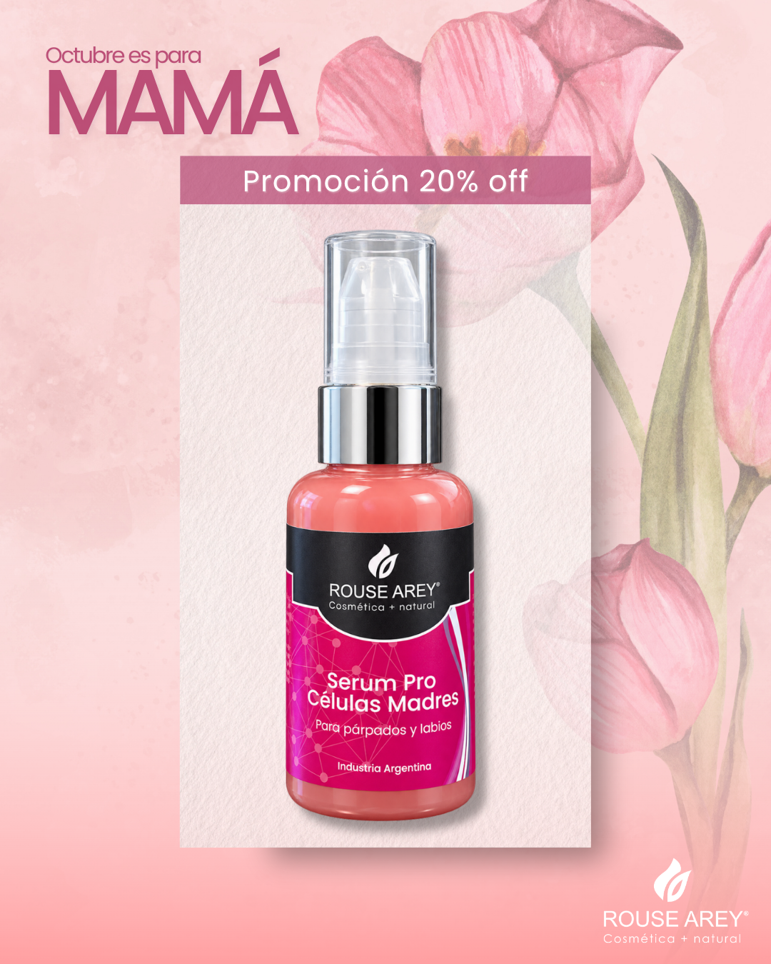 serum pro células madre
